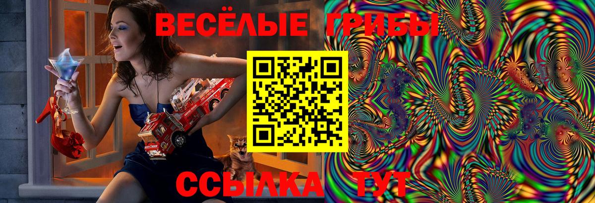 Сатка  Галлюциногенные грибы Magic Shrooms  Вход с VPN  Псилоцибиновые грибы MAGIC MUSHROOMS 